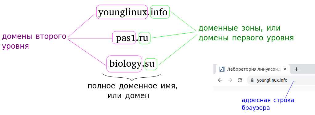 SEO-оптимизация для сайтов на бесплатном хостинге